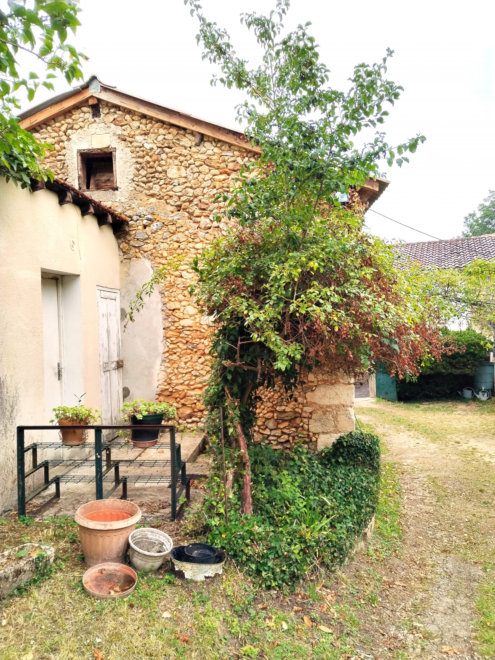 Image_, Maison de village, Sourzac, ref :BFVMA90000112